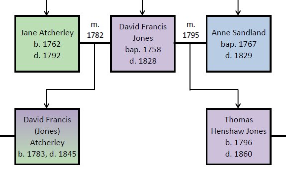 Tree - Atcherley and Jones: CLick to view full tree in PDF format