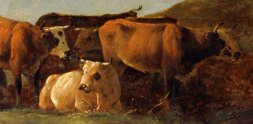 Cattle, by Aelbert Cuyp