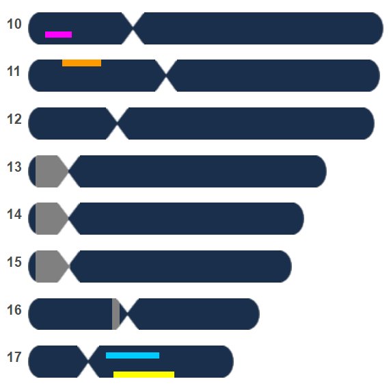 other - FTDNA chromosome browser