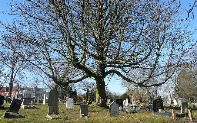 places - London, Camberwell Old Cemetery