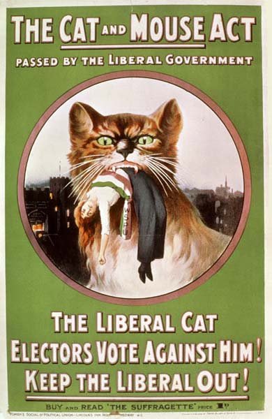 Cat and Mouse Act poster