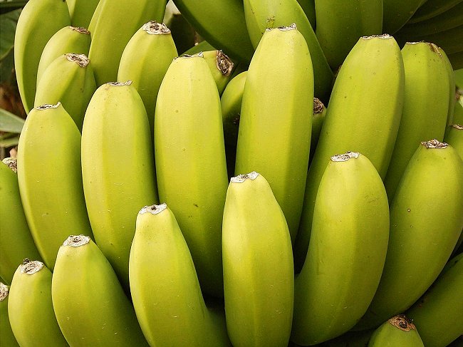 bananas-canary-islands